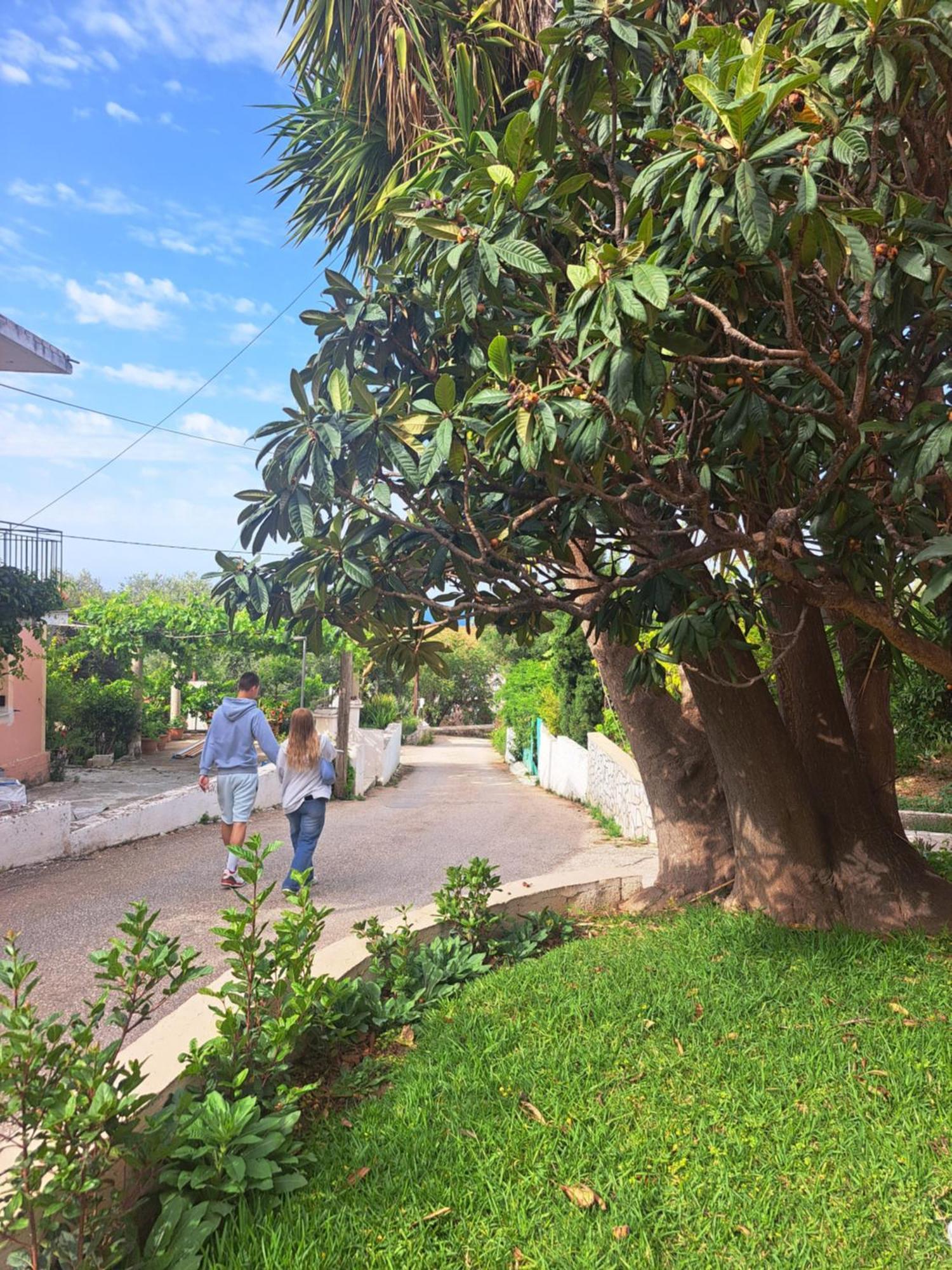 Marinos Studios At Lourdata Village Kültér fotó